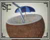  [SF]Coconut F +Poses