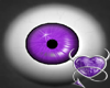 [DH] purple eyes v1