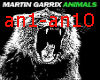 Martin Garrix Animal