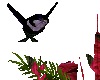 HummingbirdPrplPlant