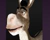 Donkey Wiggle Music Song LOL Dancing Halloween Costumes Animals