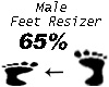 Feet Resizer 65%