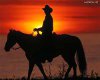 cowboy sunset picture