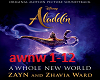 A whole New World - Zayn