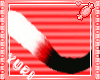 Zech Tail