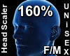 F/M Head Scaler 160%