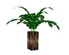 (TR) GB Plant 3