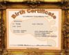 Demi`s Birth Certificate