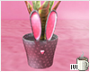 ♥. Bunny Plant