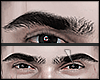 s. Marc Eyebrows