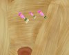 CA Pink Hair Clips