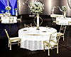 Palace Guest Table