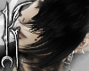 ╋━ BLACK+