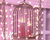 VK~Candle Cages ll