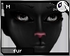 ~Dc) Black Kitty M Fur
