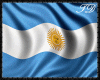 TD Copa America Flag Arg