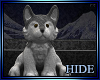 [H] Timberwolf  Plushie