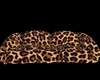 Leopard Couch