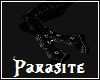 Parasite Pants + Boots