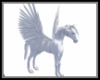 Pet Pegasus