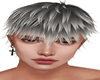 Mullet  Grey