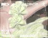 🐀 Fairy Green Flowers
