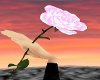 ~CC~Alora's Rose