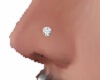 Nose Piercing (L)