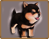 UXI/ PLAYFUL CUTE PUPPY