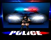 Police Background