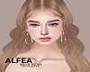 Z* ALFEA MH