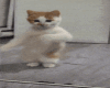 AI Idle Dance Tiktok