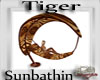!Tiger SunBathin Loung!