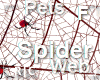 R|C Spider Web Red F