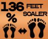Feet Scaler 136%