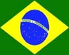 Brazil Flag Baby Tee Fem
