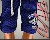 Hollister Shorts | Blue