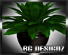[BGD]Plant MB3