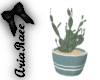 Desert Cactus Planter