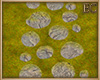 EC| AM Stone Pathway