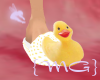 {MG}Just Ducky slippers