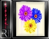 *S* Flower frame 2