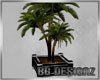 [BG]BNS Potted Palm