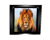 lion framed 