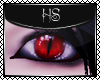 HS|Kyuubi Eyes