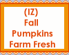 Pumpkins FarmFresh Crate