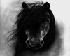 Black Horse Rug