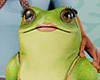 $ Frogberta V2