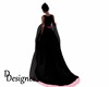 paris night cape