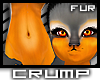 [C] iLume Fur F